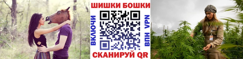 Где купить наркотики Петропавловск-Камчатский ГАШИШ Кокаин Меф Бошки Шишки