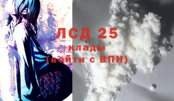 прущие грибы Баксан