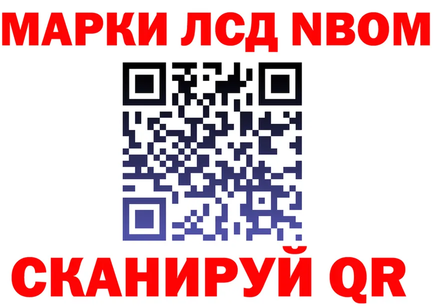 A PVP СК рабочий сайт площадка OMG Петропавловск-Камчатский