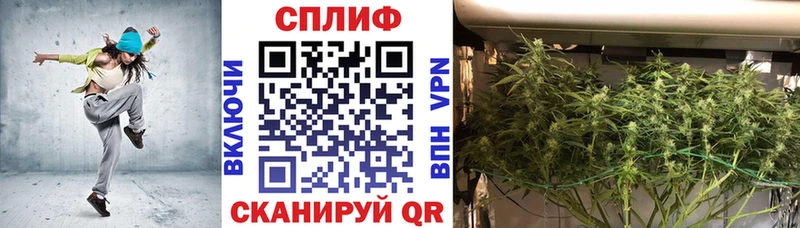 Шишки марихуана ГИДРОПОН  Петропавловск-Камчатский 